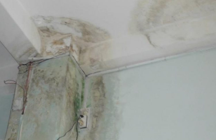 Những Lưu Ý Khi Tiến Hành Chống Thấm tại Đà Nẵng cho Nhà Ở